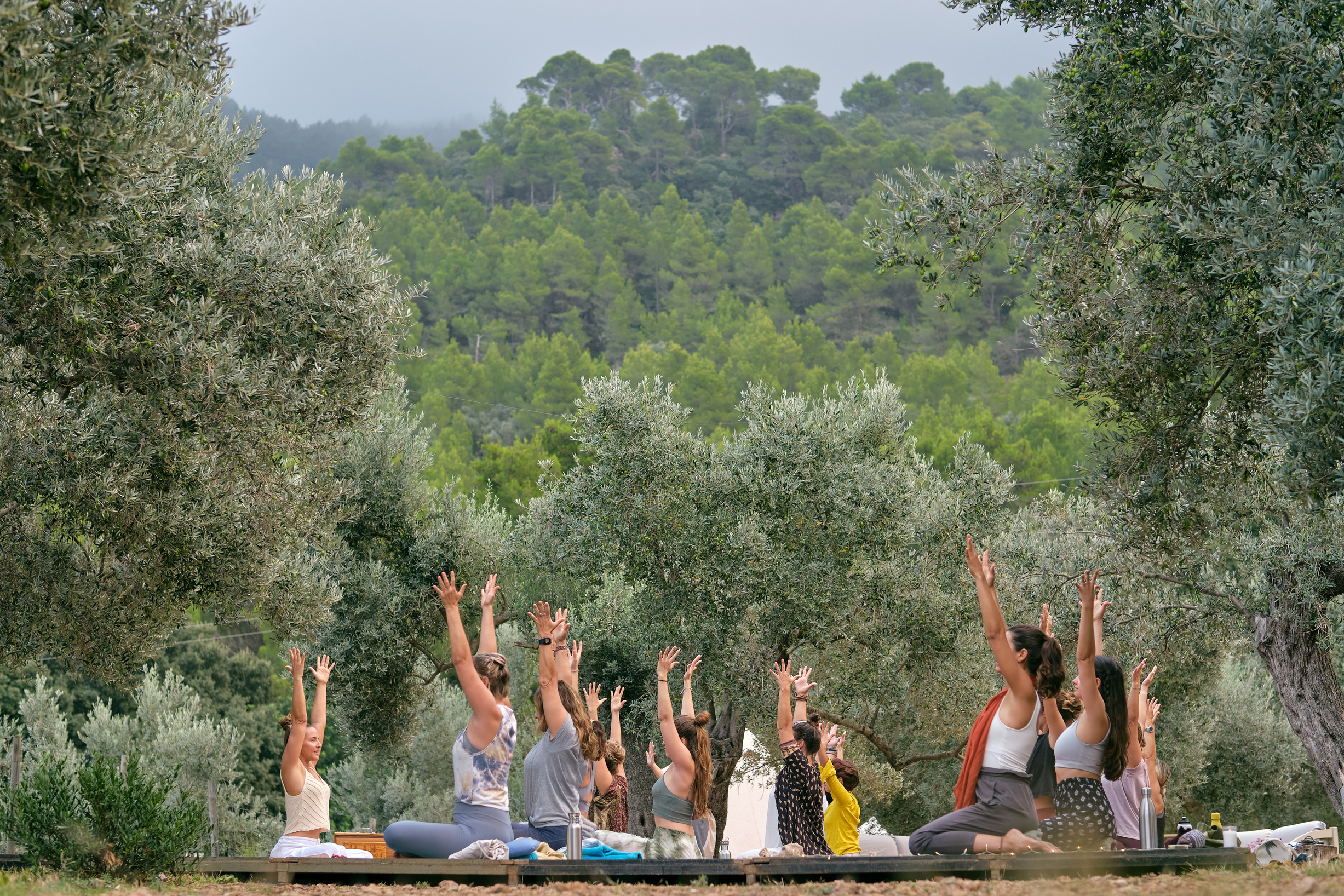 Females raising arms during meditation in nature